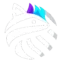 Raccoon Audio