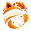 Raccoon Audio
